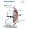 Wilden Pure-Fuse Integral Piston Diaphragm (IPD)